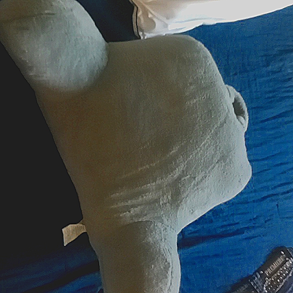 A big fuzzy pillow cushion